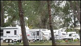 Powered Caravan and Motorhome Sites